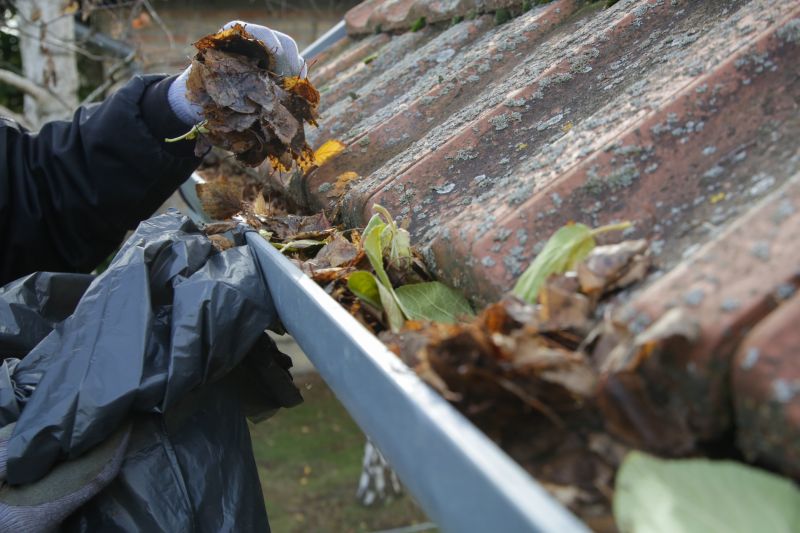 Cleaning Residential Gutters