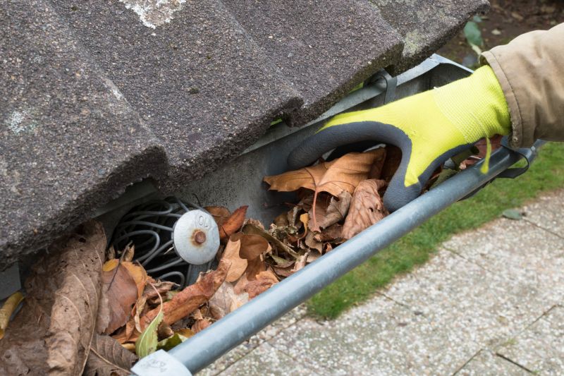 Cleaning Gutter Debris